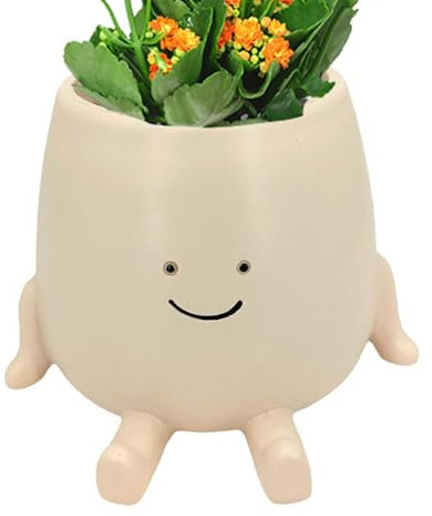 Générique Cache-Pots De Fleurs, Cache Pot Interieur, Pot De Fleurs Suspendu, Fleurs en Résine avec Visage Et BalançoirePot De Fleurs pour La Décoration Murale pour Maison Bureau Balcon Jardin