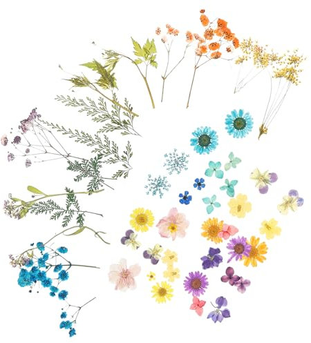 CIMAXIC 4taschen Beutel Dekorative Trockenblumen Natürliche DIY Gepresste Blumen Handwerk Material Schmuck Badezusätze Kerzendekor Seifenschmuck Lesezeichen Wohnaccessoires Party