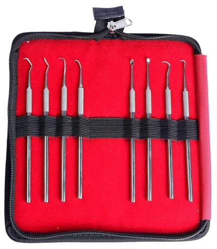 SPANCARE PHARMACEUTICALS_Dental Scaler Kit, 8 Pcs Stainless Steel Dental Tools, Oral Care Probes Set with Zipper Bag