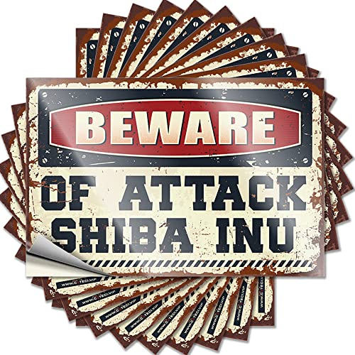 Adesivi inappropriati Beware of Attack Shiba Inu Funny Sticker 10 pz Cave Man Bar Sticker per auto (12 x 18 cm)
