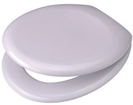 Toto Germany WC-Sitz Rondo Deckel mit Edelstahl-Befestigung weiß, 794680202