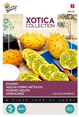Buzzy Xotica Kiwano, concombre corné