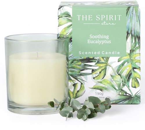 The Spirit Store 2er-Set Duftkerzen (Eukalyptus) | Weihnachts-Geschenk für Frauen Freundin zum Geburtstag | Wellness-Geschenk Natürlich Soja Groß