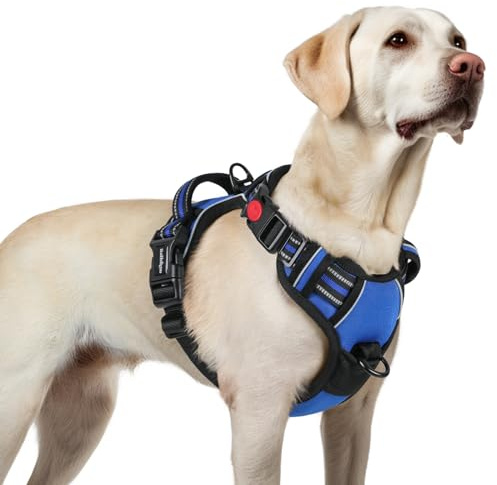 rabbitgoo Dog Harness for Large, No Pull Pet Harness with 3 Buckles, Adjustable Soft Padded Vest with Control Handle, Walking Reflective Pet Vest for Large Dogs, Blue, L
