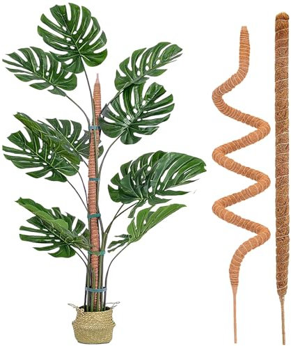 2 Pezzi Sostegno per Piante Rampicanti, Palo per Fibra di Cocco per Piante, Tutori per Piante, Bastone Muschiato, Sostegno per Piante Cocco per Casa Giardino