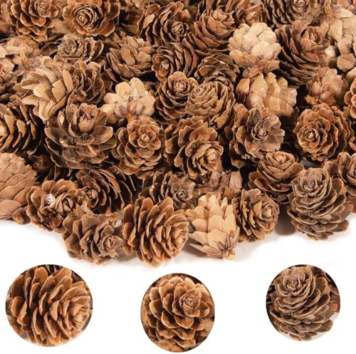 alfyng 180 PCS Christmas 1-2 Inch Large Pine Cones, Thanksgiving Brown Pinecones Vase Fillers Ornaments for Home Wedding Decoration, DIY Fall and Christmas Crafts