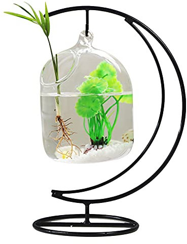 RNCOZE Schreibtisch-Hängeschale mit Ständer, Mini-Tisch-Aquarium-Glas, Betta Fischschale, durchsichtige Pflanzenterrarium für Zuhause, Büro, Garten, Dekoration, A3