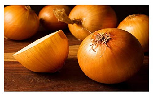 PREMIER SEEDS DIRECT - Onion - Stuttgart - 4.0 GRAM ~ Approx 1100 Finest Seeds