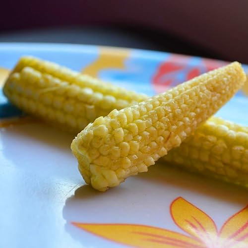 Sweetcorn F1 Minipop Vegetable Seeds - 30 Sweetcorn Seeds