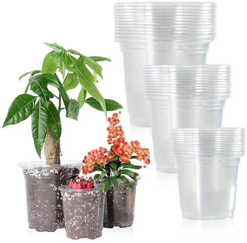 36 Stück Anzuchttöpfe, 10/13/15cm Blumentöpfe Pflanztopf Durchsichtig | Rund Orchideentopf Transparent, Anzuchttopf Plastik,Innentopf Pflanzen Pflanztöpfe für Orchideen Sukkulenten Kaktus Setzlinge