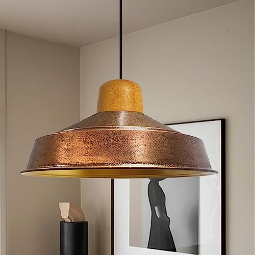 bamyum Asletl Hängelampe Industrial Vintage Ø41 cm, Küchenlampe Hängend Esstisch, Wohnzimmerlampe Pendelleuchte Kupferfarbe Metall