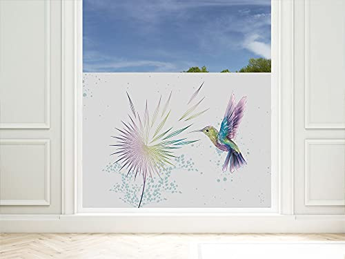 GRAZDesign Sichtschutzfolie Bunte Pusteblume mit Kolibri, Fensterfolie für Wohnzimmer, Küche, Büro, Blickdicht und lichtdurchlässig / 70x57cm