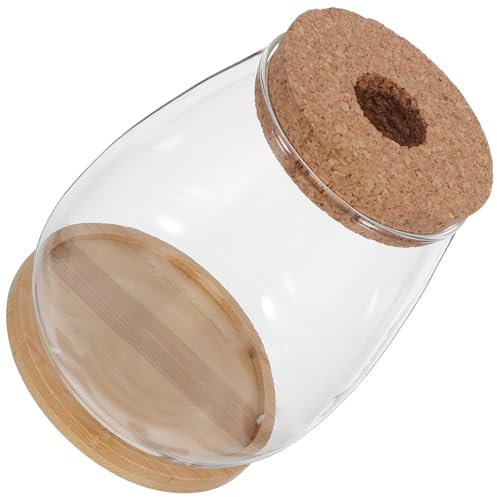 TOGEVAL Set 2 Vasi Idroponici in Vetro per Propagazione Piante da Interno con Tappo Sughero e Base Bambù, Contenitori per Talee e Orchidee, Terrari Decorativi per Casa e Ufficio