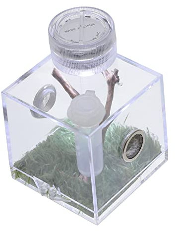 POPETPOP Spider Habitat Box Mittelgroße Hochtransparente Ökologische Aufbewahrungsbox Mit Led-Lampe Für Springspinnen Insekten Und Kleine Reptilien Praktisches Terrarium Zur Fütterung Und b