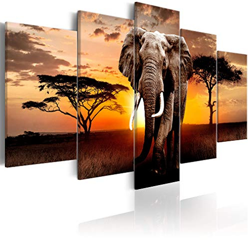 decomonkey Wandbilder Afrika Tiere 100x50 cm 5 Teilig Leinwandbilder | Bild auf Leinwand, Kunstdruck, Wanddeko, Wohnzimmer, Wanddekoration
