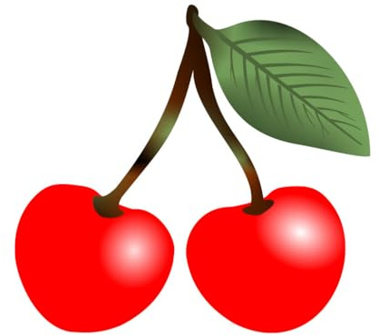 RED Cherry TEMPORARY TATTOO long lasting waterproof cherries fruit