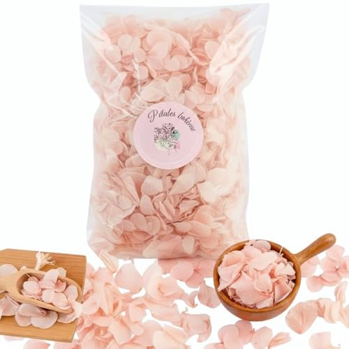 Pétales d'Hortensia Fleurs Séchés Rose Confettis de Mariage 1L | Naturels, Lancer de Pétales, Décoration Bohème Champêtre, France