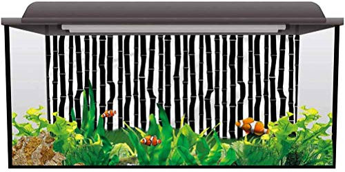 Tubertini Hard Box Small 0