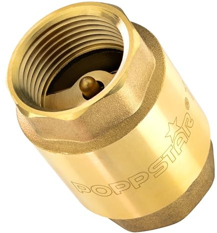 Poppstar Rückschlagventil 1 Zoll (Messing, rostfrei & wasserdicht) für Pumpe und Waschmaschine