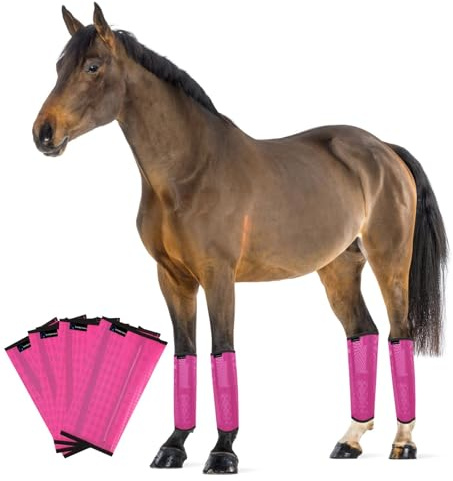 FOXLVDA Flugstövlar för hästar set om 4, bekväma hästleggings, nätmaterialdesign med metallstödstänger för minskar stomping och bentrötthet (rosa, medium)