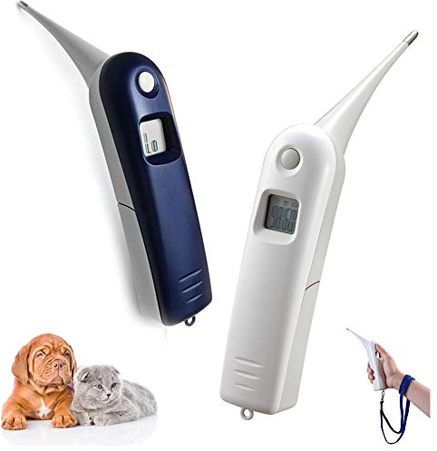 Aurynns Thermomètre vétérinaire numérique pour animaux domestiques - Commutable C/F pour chiens, chats, chevaux, bovins, cochons, oiseaux, moutons (bleu)