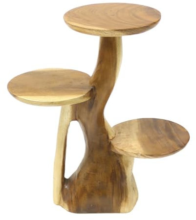 Oriental Galerie Ständer Hocker Blumenständer Säule Blumensäule Ablage Wurzel Blumenhocker Blumentreppe Blumenregal Massiv Akazie Unikat Natur 60 cm