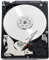 WD Black - 500GB Portable SATA Hard Drive - OEM