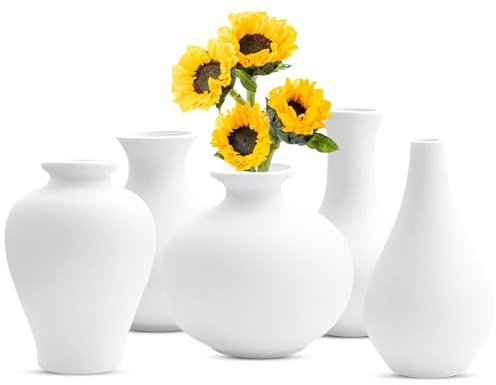 Weiß Keramik Vase Satz von 5, Vase für Moderne Home Decor, Deco Matte Vasen für Pampasgras,Blumen, Deko Wohnzimmer,Vasen Deko Aesthetic für Home Decor Tisch Eingang