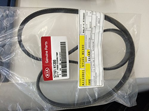 Genuine Kia 57161-H1300 Ribbed V Belt