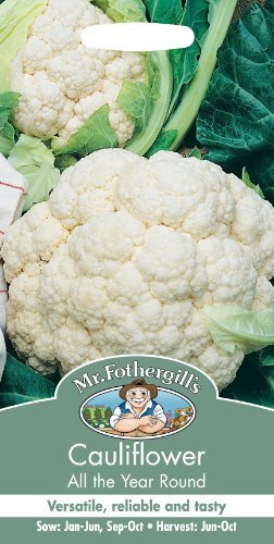 Mr Fothergills - Pictorial Packet - Vegetable - Cauliflower All Year Round - 200 Seeds