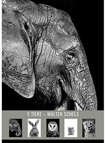 5 TIERE – Postkartenset # 8 Walter Schels