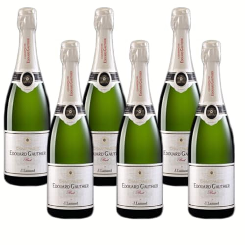 SUPER OFFERTA CHAMPAGNE VEUVE J.LANAUD BRUT | Pluripremiato | 6 bottiglie da 75 cl