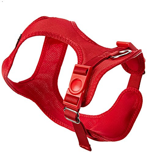 TRIXIE Comfort Soft Touren-Geschirr Größe S: Brustumfang 33–50 cm/20 mm in rot - gepolstertes Hundegeschirr zum Joggen mit stufenlos verstellbaren Bauchgurt für kleine Hunde, 16273 | Weich gepolstert mit stufenlos verstellbarem Bauchgurt – sportlicher Komfort zum Joggen für kleine Hunde