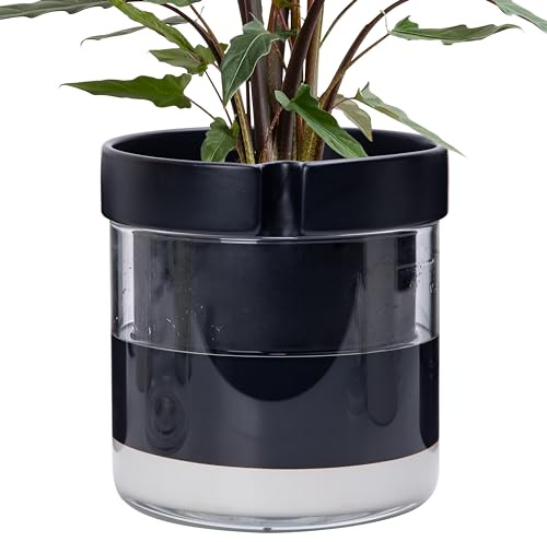 Phoenix Vine 20,3 cm Selbstbewässernder Terrakotta-Pflanztopf, schwarzer Terrakotta-Ton mit Glasreservoir für Zimmerpflanzen, Kräuter, Blumen, 1er-Set, 52-C-H-1