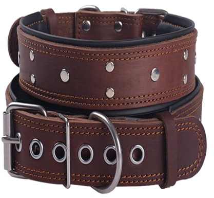 Collare per Cani Con Borchie in Pelle, Imbottito, Extra Spesso e Largo 5 cm, in Vera Pelle Morbida e Resistente, Per Cani di Taglia Media e Extra Grande (Marrone, XL)