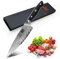 SHAN ZU Coltello da Chef Damasco 20 cm, Coltello da Cucina a 67 Strati in Acciaio Damasco Giapponese AUS-10 Kiritsuke ad Alto Contenuto di Carbonio con Impugnatura G10 - Sun Series