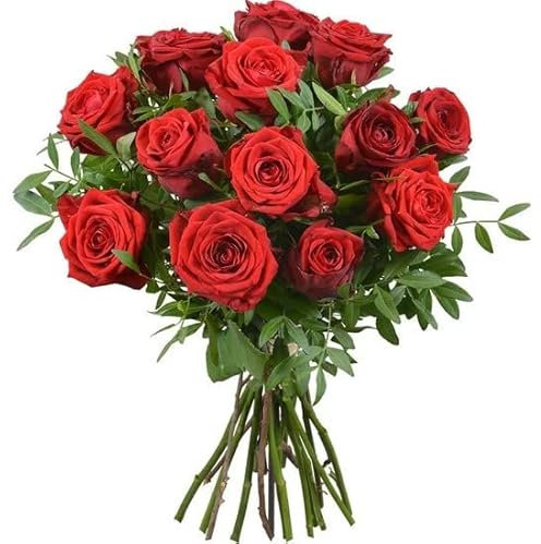 DECOALIVE Ramo de Rosas Rojas Naturales con Dedicatoria Personalizada | Ramo de 25 Rosas de Color Rojo | Entrega Urgente | Ideales para Regalar | Flores Frescas | Nota Personalizada