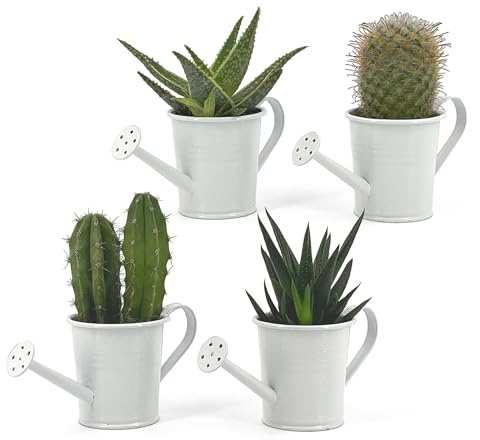 Vimin Box Juego de 4 mini regaderas, macetas decorativas para plantas suculentas, flores pequeñas, decoración del hogar, jardín, balcón