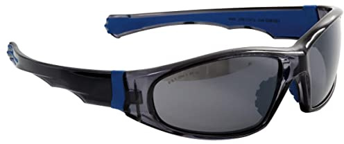 Eagle Schutzbrille mit polarisierten Gläsern