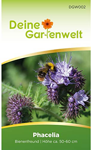 Phacelia Bienenfreund Samen - Phacelia tanacetifolia - Phaceliasamen - Blumensamen - Saatgut für 500 Pflanzen