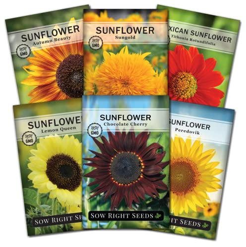 Sow Right Seeds - Large Sunflower Seed Collection for Planting - 6 Varieties of Sunflowers to Attract Pollinators - Non-GMO Heirloom Packet with Instructions to Plant & Grow - Giant Summer Blooms