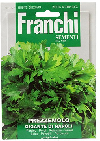 Franchi Parsley Gigante Napoletano