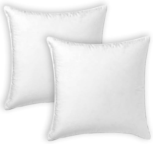 Adri. 2 Relleno para cojín de Fibra Hueca Siliconada de Alta Recuperación 2/4/6 Unidades, Suave, Mullido, Antialérgico. Cojín Decorativo para Casa, Dormitorio, Salón o Coche (25 x 25 cm, 2)