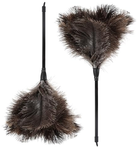 Daieeparty Plumeau en plumes d'autruche naturelles duveteuses de 37,8 cm avec poignée en plastique, fournitures de nettoyage pour cadre photo de bureau et maison (2 pièces)