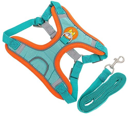 BESPORTBLE 1 Set Haustierträger Einfache Kontrolle Haustiergeschirr Welpen Gehjacke Outdoor Hundeversorgung Gürtel Leine Für Hunde Gehgeschirr Für Große Hunde Welpengeschirr Kleines