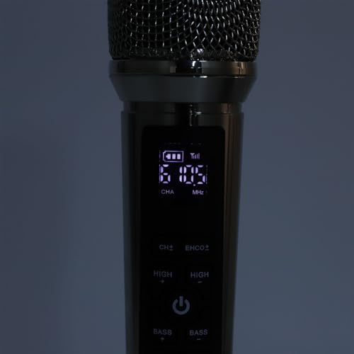 KAKAKE Dynamic Metal Wireless Microphone with Reverb for Home Theater Karaoke Singing, Professional Mic Set