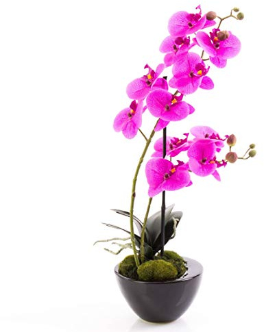 artplants.de Orchidée Phalaenopsis Artificielle Melina, Violet, 45cm