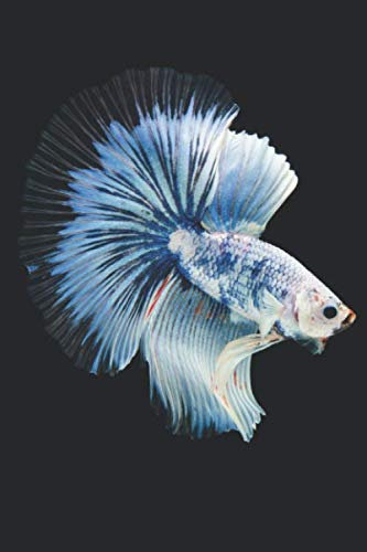 Aquarium Tagebuch: Planer, Notizbuch, Bestandsbuch, Futterplan für alle Auqarianer und Aquaristik Fans ♦ Logbuch für über 100 Einträge ♦ 6x9 Format ♦ Motiv: Weißer Fisch