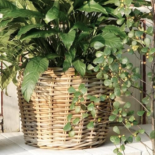 Natur Rattankorb GINI Natural Grey ca.32x28cm Pflanzkorb Übertopf Aufbewahrungskorb Korb
