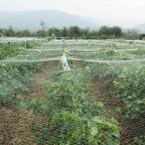 Filet En Nylon Blanc Pour Plantes Contre Les Oiseaux, Cerfs, Filet Anti-Oiseaux Pour Fraises Et Myrtilles, Filet À Volaille Pour Parterres De Jardin, Long 50 M/160 Pieds,Long 50m/164ft-Width 30m